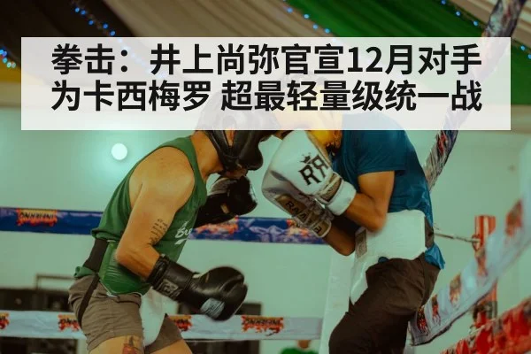 拳击：井上尚弥官宣12月对手为卡西梅罗 超最轻量级统一战（jiuyou）